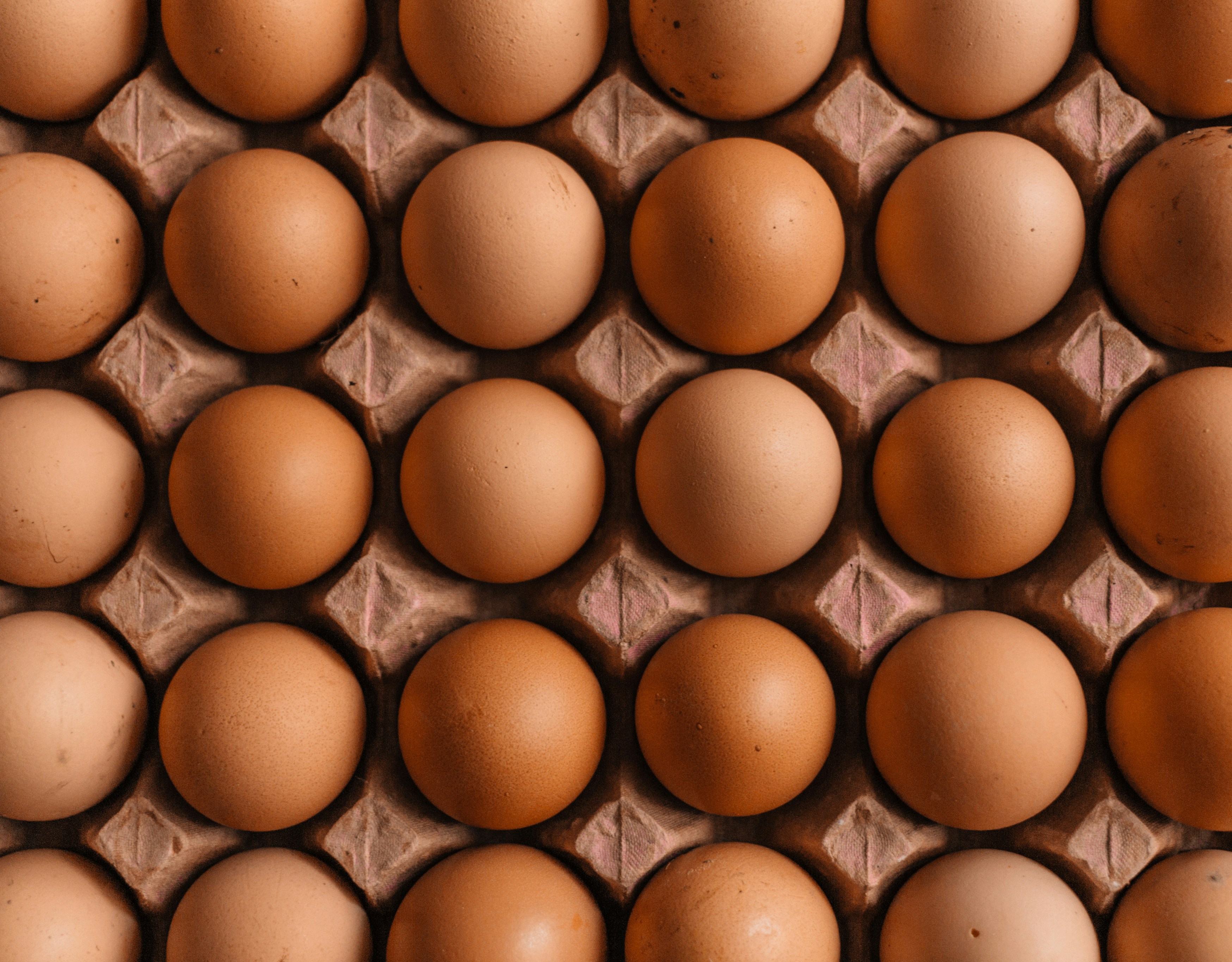 Delicious Pasture Raised Eggs